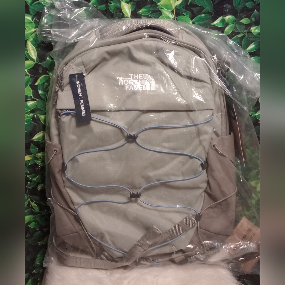 The North face backpack